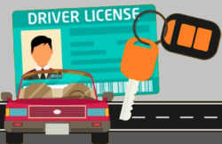Essential Guide to Renewing Your Ontario Driver's License: A Comprehensive Overview